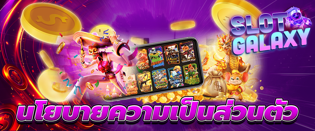 นโยบายความเป็นส่วนตัว